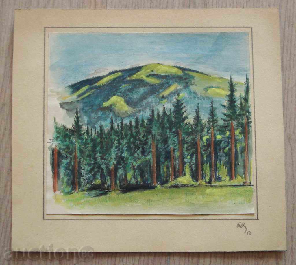 250 S.D.Z. peisaj montan acuarelă, semnat în 1950. R.23 / 20 cm