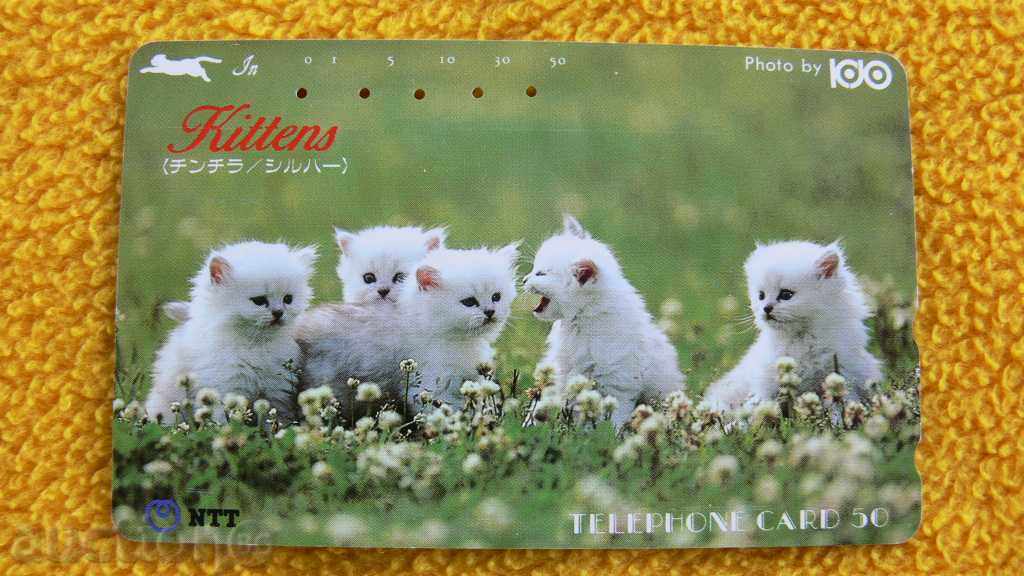Συλλεκτικά γατάκια τηλεφωνικές κάρτες