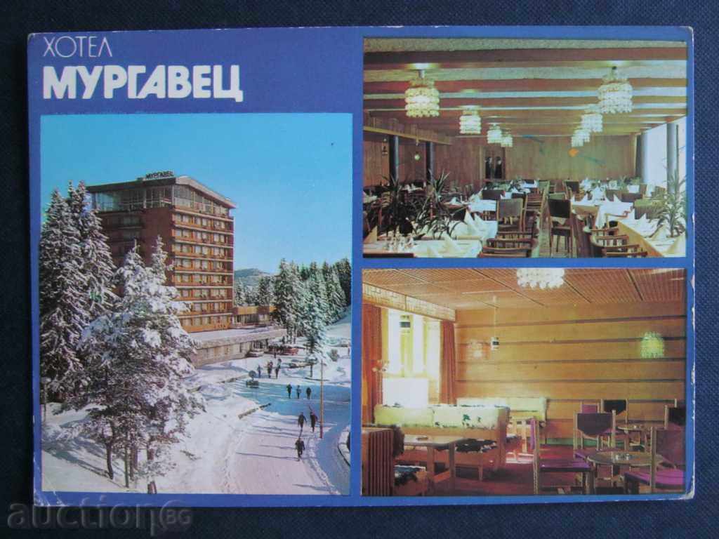 Пощенска картичка: Пампорово - хотел Мургавец
