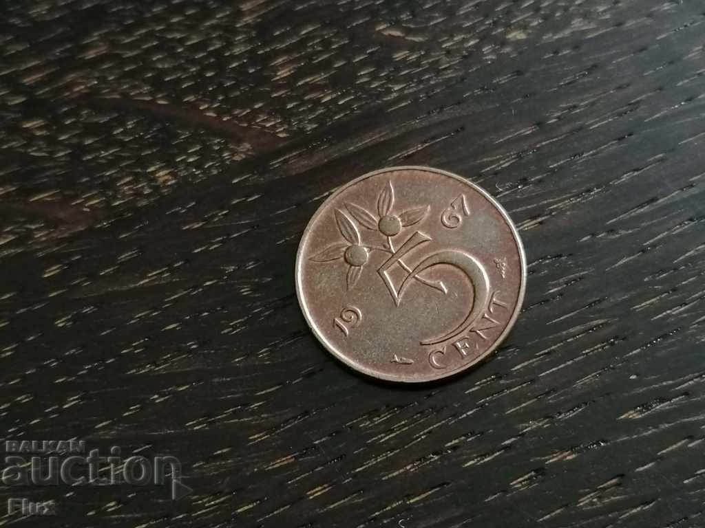 Coin - Netherlands - 5 cents 1967