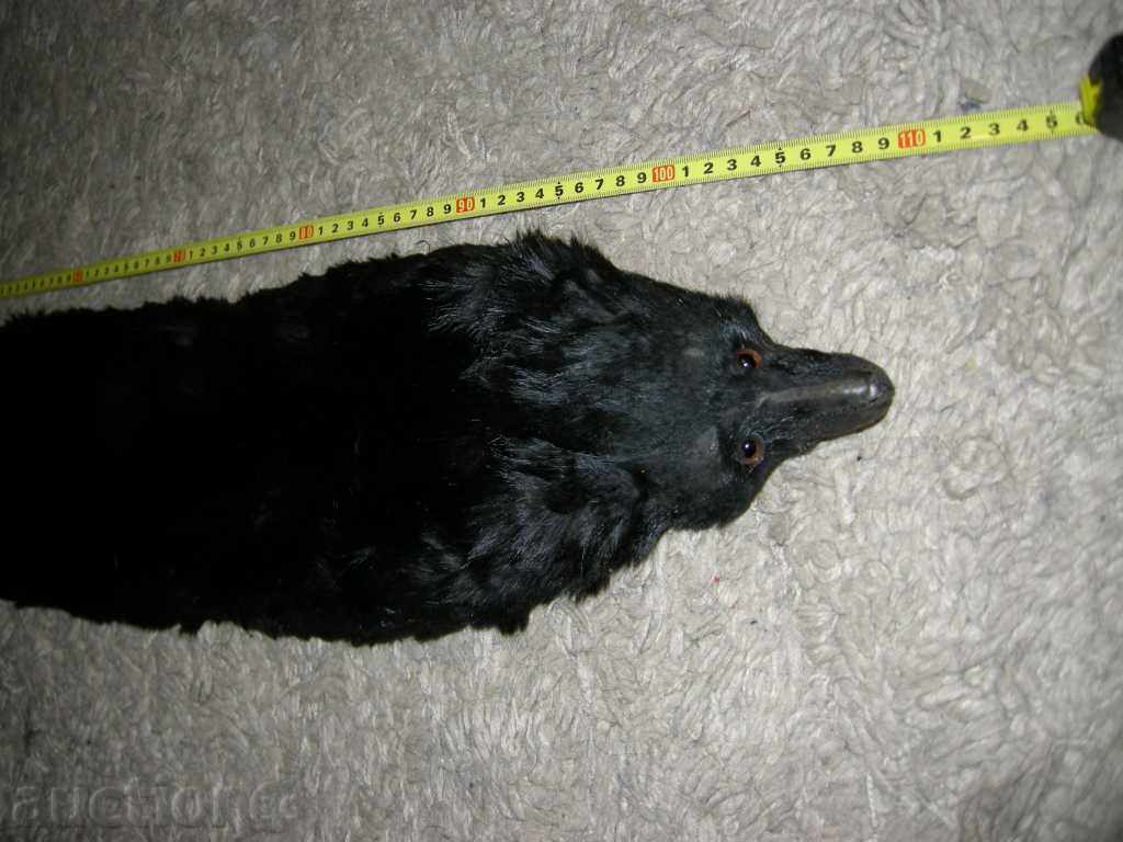 guler de vulpe veche cu preț 49.00 BGN | € 25.05