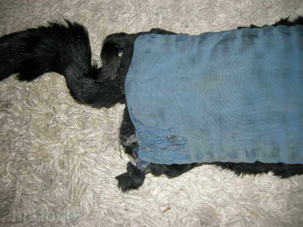 Livrarea guler de vulpe veche