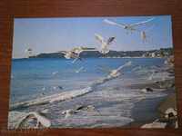 Καρτ ποστάλ θέα από την παραλία - ΓΑΛΛΙΑ - 70s
