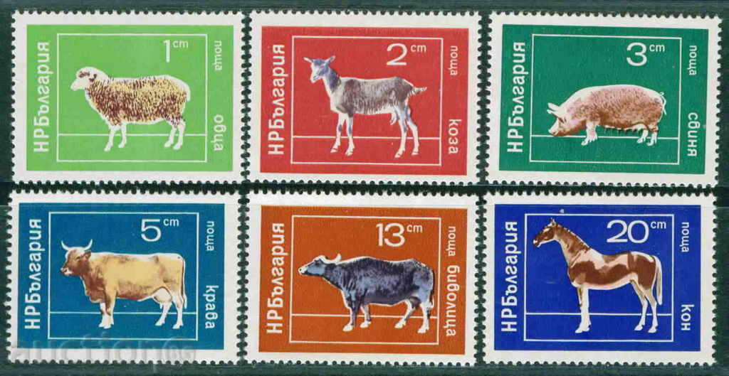 2386 България 1974 Домашни животни **