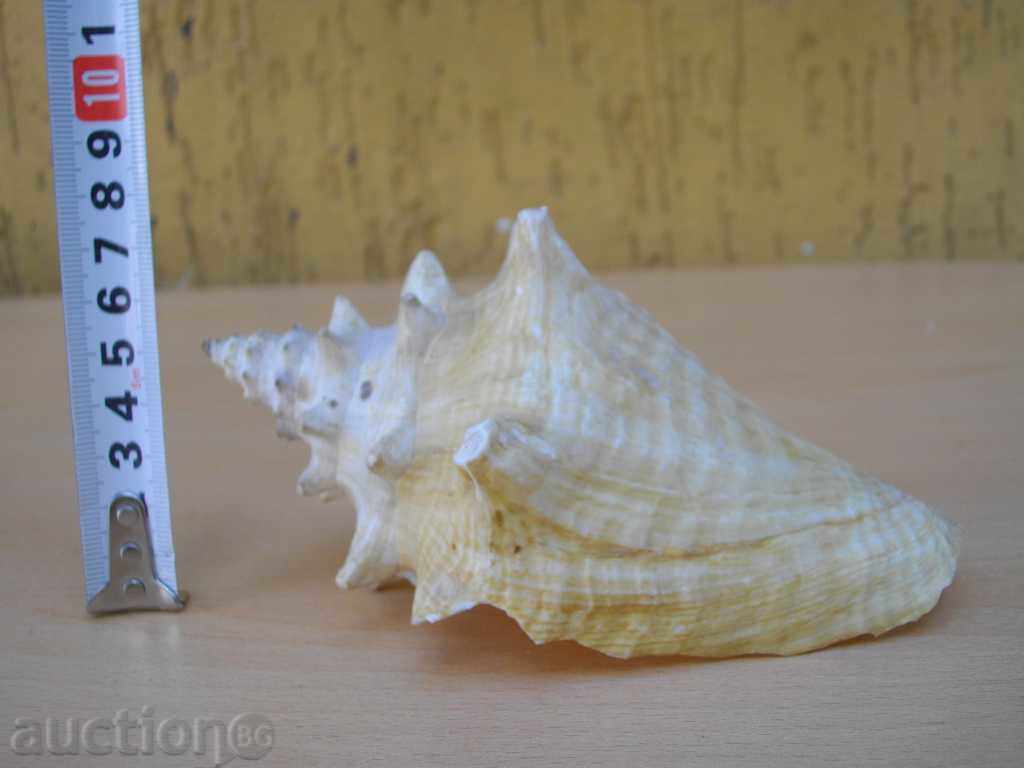 Rakovina - 6 - 7 Rakovina - 6 - 7