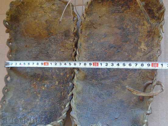 Delivery of A pair of old tortoises A large number of Grandpa's grandfather Delivery of A pair of old tortoises A large number of Grandpa's grandfather