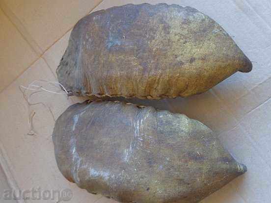 A pair of old tortoises A large number of Grandpa's grandfather - 5 A pair of old tortoises A large number of Grandpa's grandfather - 5