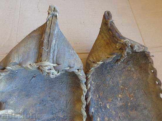 A pair of old tortoises A large number of Grandpa's grandfather - 6 A pair of old tortoises A large number of Grandpa's grandfather - 6