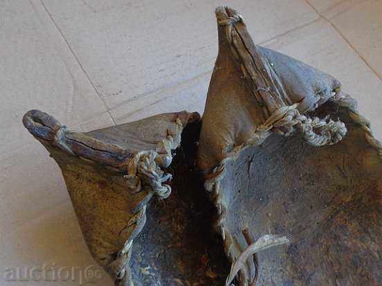 A pair of old tortoises A large number of Grandpa's grandfather - 7 A pair of old tortoises A large number of Grandpa's grandfather - 7