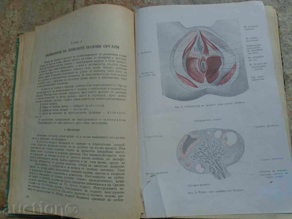 Licitație Textbook of Ginecologie