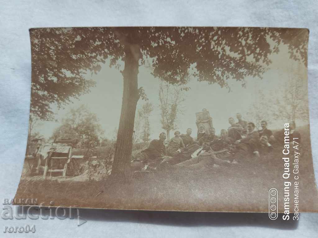 Auction MILL - 1919 Auction MILL - 1919