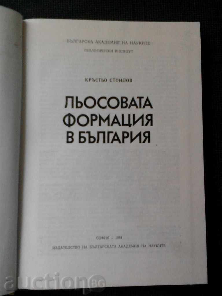 Lies' formation in Bulgaria with price 37.00 BGN | € 18.92 Lies' formation in Bulgaria with price 37.00 BGN | € 18.92