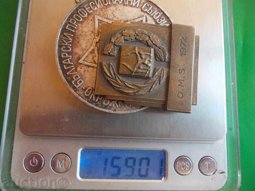 Soc. plaques decorations - 2 pcs. - 6