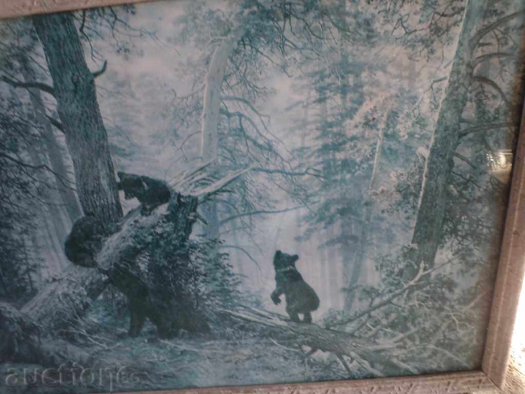 Delivery of STAR PICTURE PRINT Delivery of STAR PICTURE PRINT