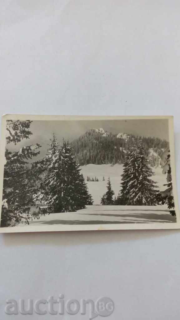 Καρτ ποστάλ Ροδόπης Peak Karamandzha