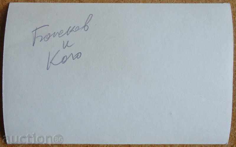 Φωτογραφία ποδοσφαίρου - Εθνική ομάδα της Βουλγαρίας με τιμή 5.00 BGN | € 2.56 Φωτογραφία ποδοσφαίρου - Εθνική ομάδα της Βουλγαρίας με τιμή 5.00 BGN | € 2.56