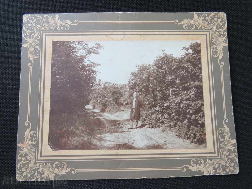 СТАРА ФОТОГРАФИЯ - КАРТОН с цена € 0.01 | 0.02 лв.
