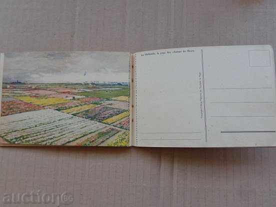 Delivery of Old postcard, photo, portrait Delivery of Old postcard, photo, portrait