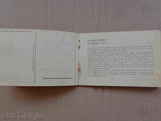 Old postcard, photo, portrait - 5 Old postcard, photo, portrait - 5