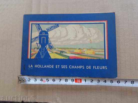 Old postcard, photo, portrait - 6 Old postcard, photo, portrait - 6