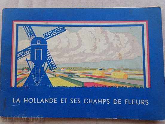 Old postcard, photo, portrait - 7 Old postcard, photo, portrait - 7