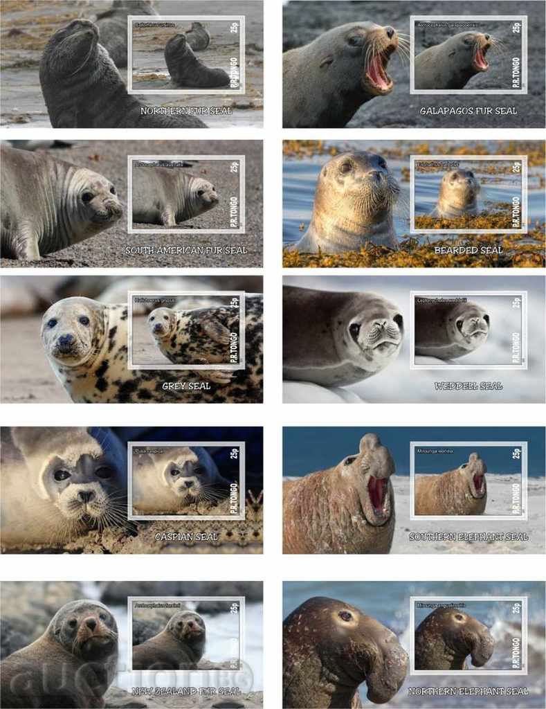 Clean and blocks Fauna Seals 2010 from Tongo