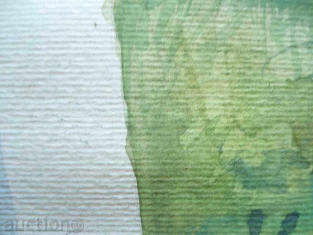 782 Rossi village villa watercolor signed 2006г. P.50 / 36cm with price 20.00 BGN | € 10.23