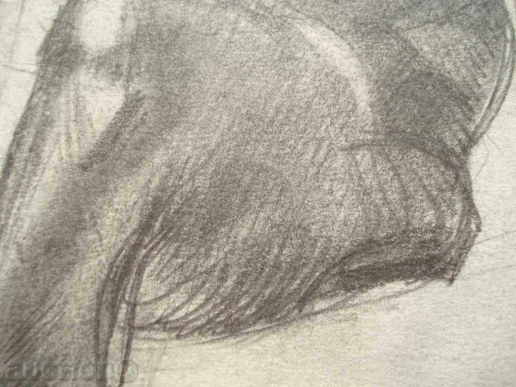 813 Unknown author nude body pencil P.50 / 50cm with price 20.00 BGN | € 10.23