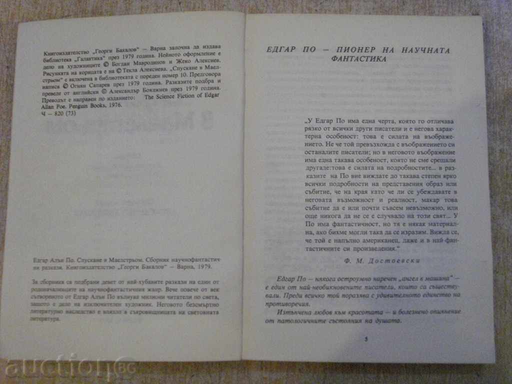 Auction Book "Downhill in Maelström - Edgar Allan Poe" - 160 pages - 1 Auction Book "Downhill in Maelström - Edgar Allan Poe" - 160 pages - 1