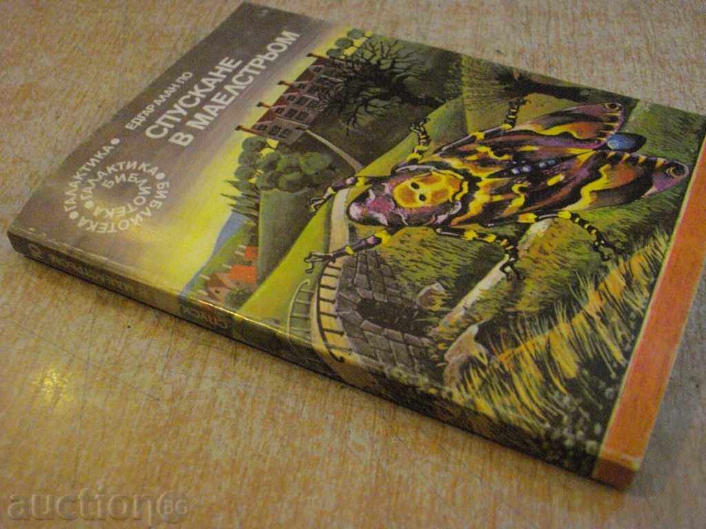 Book "Downhill in Maelström - Edgar Allan Poe" - 160 pages - 1 - 7 Book "Downhill in Maelström - Edgar Allan Poe" - 160 pages - 1 - 7