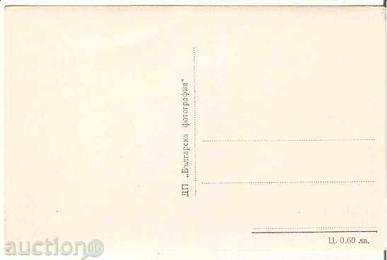 Postcard Sofia Bulgaria National Library "V.Kolarov" * with price 1.90 BGN | € 0.97 Postcard Sofia Bulgaria National Library "V.Kolarov" * with price 1.90 BGN | € 0.97