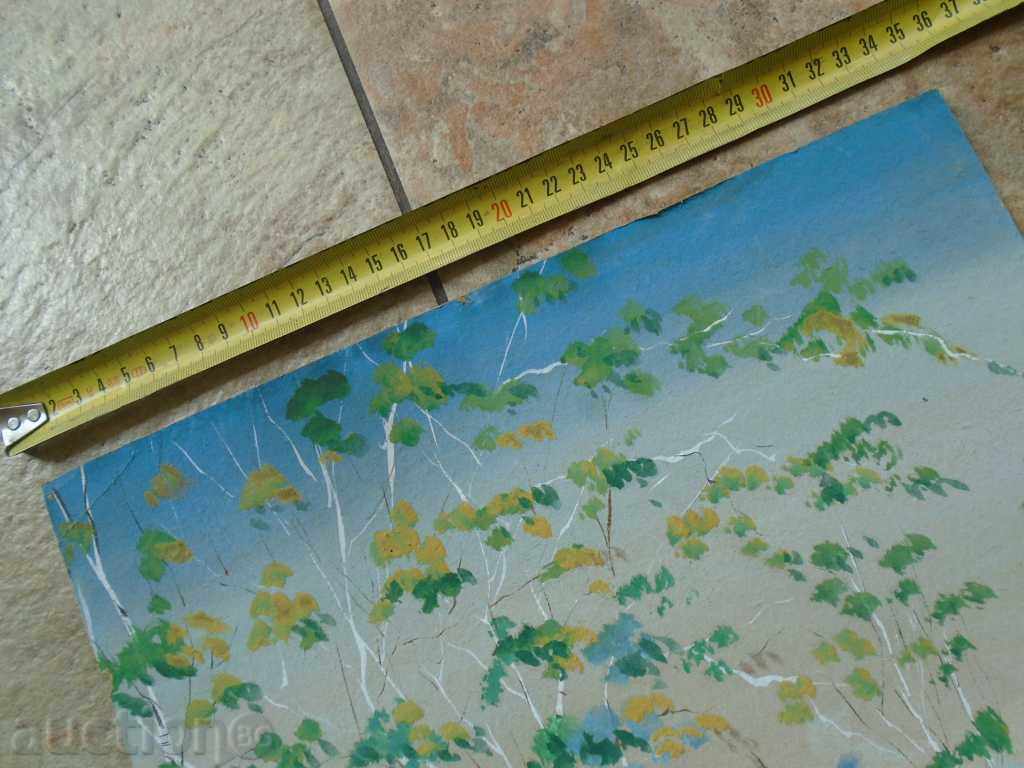 LARGE STAR AQUAREL - 6 LARGE STAR AQUAREL - 6