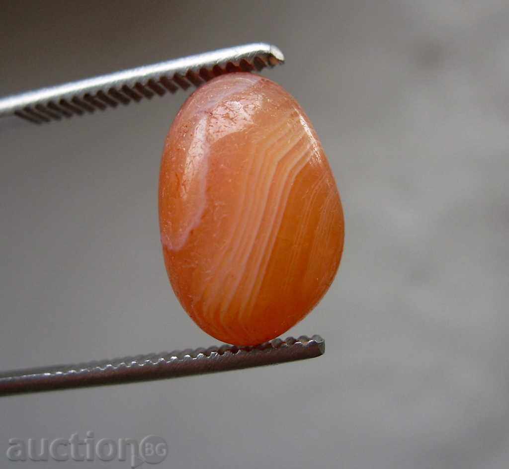 Agate Polished naturale 13.00 CT.