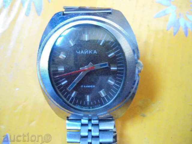 Γλάρος - 5 Γλάρος - 5