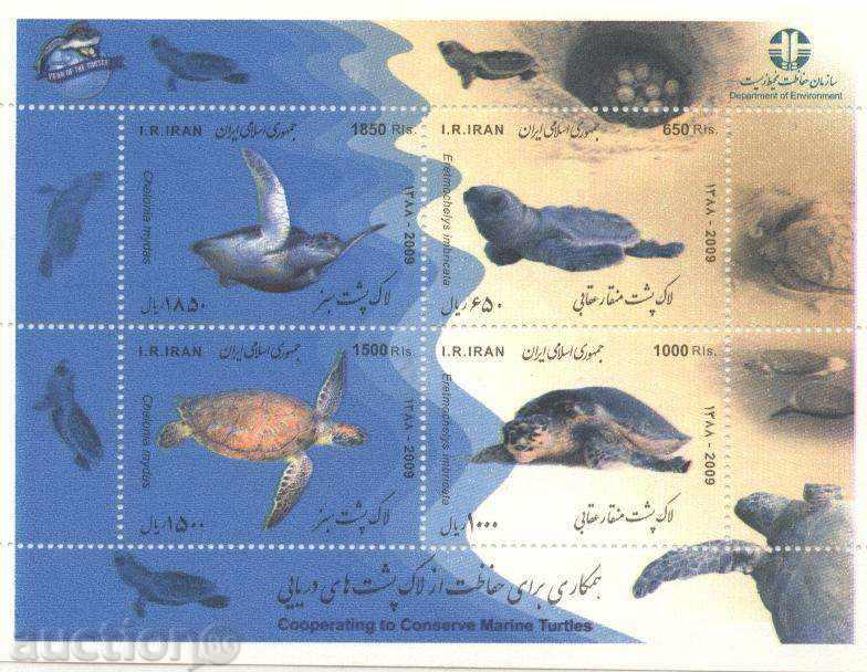 Χελώνες Καθαρίστε μπλοκ 2009 από το Ιράν