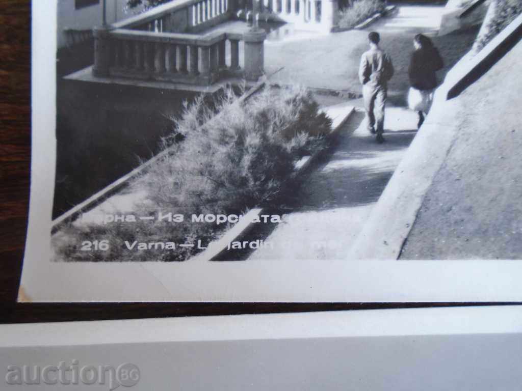 Auction VARNA - POSTAL CARDS OF 50 TH. year 4 Auction VARNA - POSTAL CARDS OF 50 TH. year 4