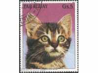 Kleymovana marca Cat 1984 din Paraguay