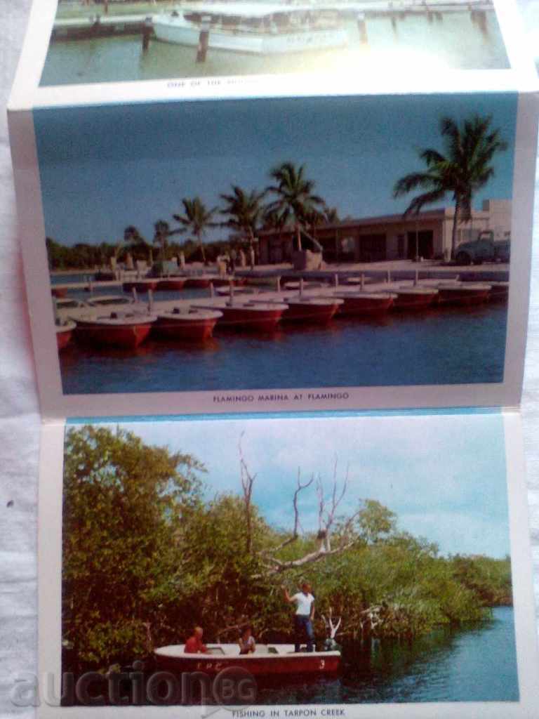 Δημοπρασία EVERGLADES Everglades Εθνικό Πάρκο Φλόριντα κάρτα επιστολή Δημοπρασία EVERGLADES Everglades Εθνικό Πάρκο Φλόριντα κάρτα επιστολή