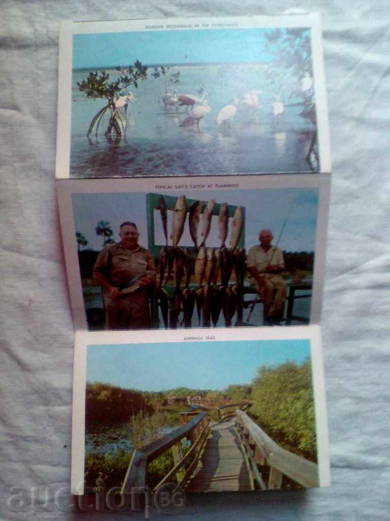 EVERGLADES Everglades Εθνικό Πάρκο Φλόριντα κάρτα επιστολή - 5 EVERGLADES Everglades Εθνικό Πάρκο Φλόριντα κάρτα επιστολή - 5