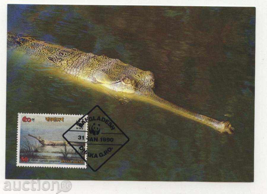 Maps Max (KM) WWF Gavalli 1990 from Bangladesh with price 10.00 BGN | € 5.11 Maps Max (KM) WWF Gavalli 1990 from Bangladesh with price 10.00 BGN | € 5.11