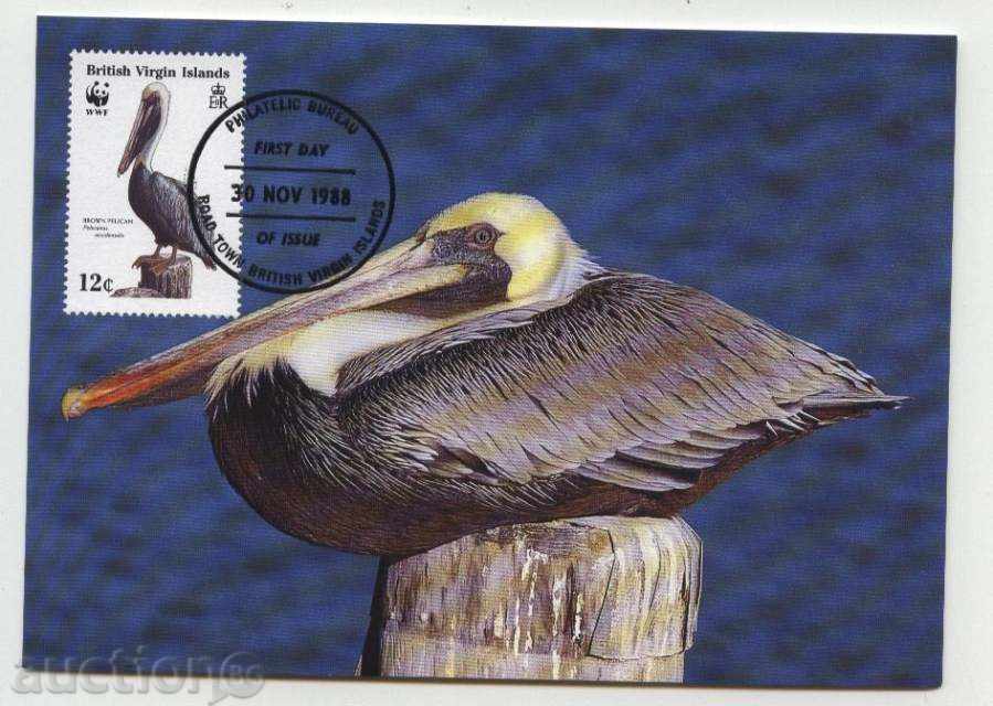 Delivery of Max Maps (KM) WWF Pelicans 1988 from Virgin Islands