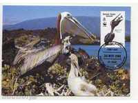Carduri maxim (KM) WWF 1988 Pelicanii din Insulele Virgine