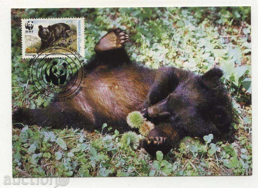 Δημοπρασία Κάρτες μέγιστο (KM) WWF Αρκούδα 1989 από το Πακιστάν Δημοπρασία Κάρτες μέγιστο (KM) WWF Αρκούδα 1989 από το Πακιστάν