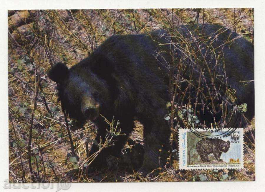 Παράδοση Κάρτες μέγιστο (KM) WWF Αρκούδα 1989 από το Πακιστάν Παράδοση Κάρτες μέγιστο (KM) WWF Αρκούδα 1989 από το Πακιστάν