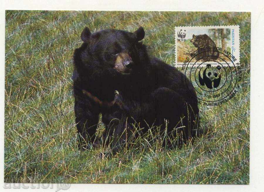 Κάρτες μέγιστο (KM) WWF Αρκούδα 1989 από το Πακιστάν