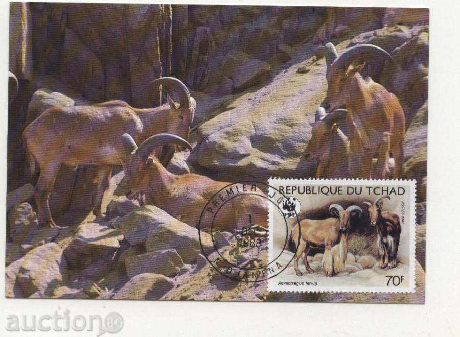 Maps Max (KM) WWF Moufloni 1988 by CHAD with price 18.00 BGN | € 9.20 Maps Max (KM) WWF Moufloni 1988 by CHAD with price 18.00 BGN | € 9.20