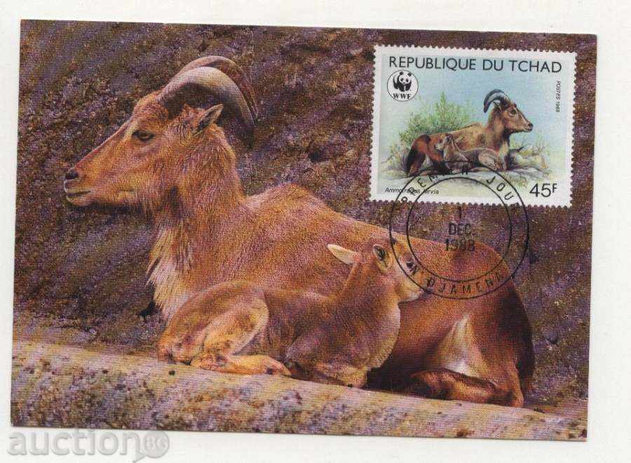 Delivery of Maps Max (KM) WWF Moufloni 1988 by CHAD Delivery of Maps Max (KM) WWF Moufloni 1988 by CHAD