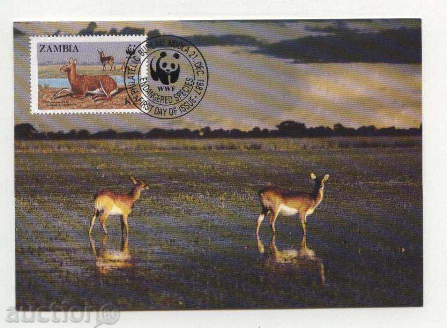 Max Maps (KM) WWF Antilopi 1987 from Zambia with price 13.00 BGN | € 6.65