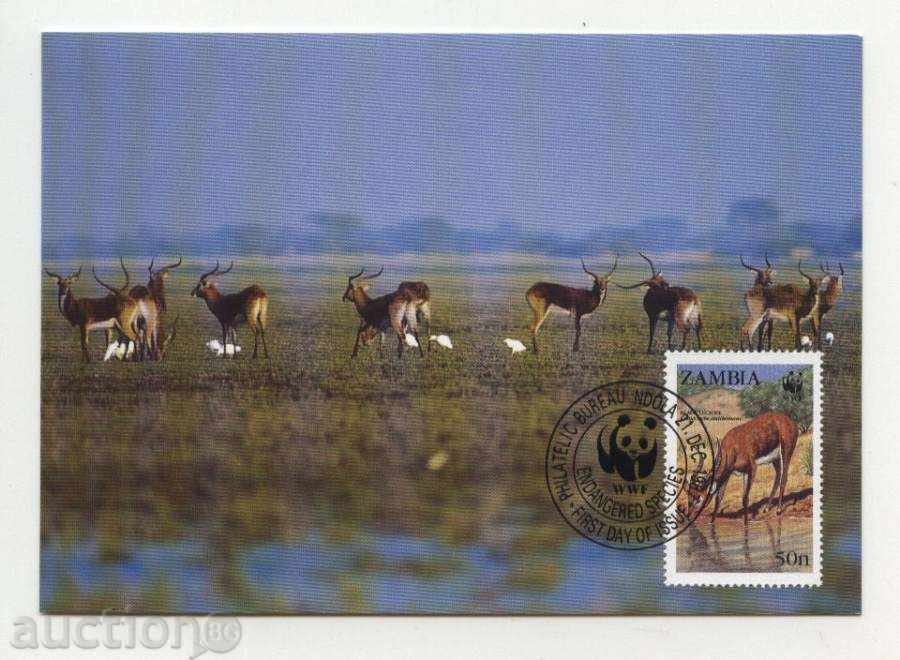 Auction  Max Maps (KM) WWF Antilopi 1987 from Zambia