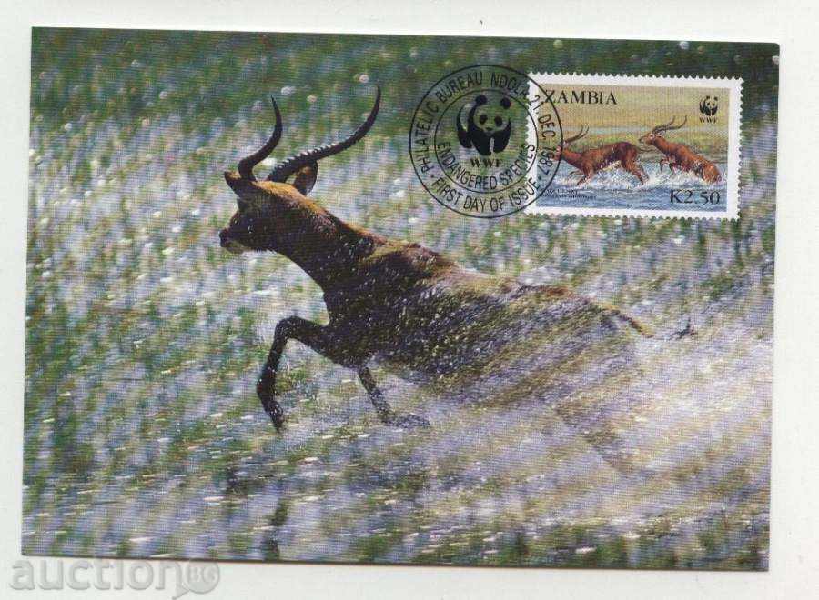 Delivery of Max Maps (KM) WWF Antilopi 1987 from Zambia